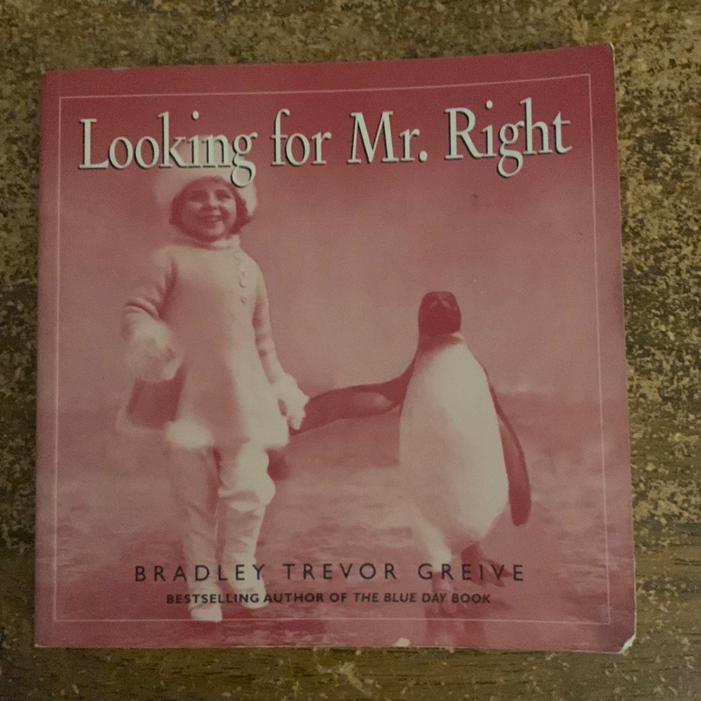(3 for $20)Looking For Mr Right by Bradley Trevor Greive